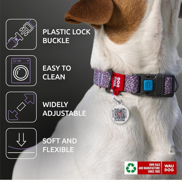 ID Tag Collar for Dogs 1 Pc - Picture 5 of 7